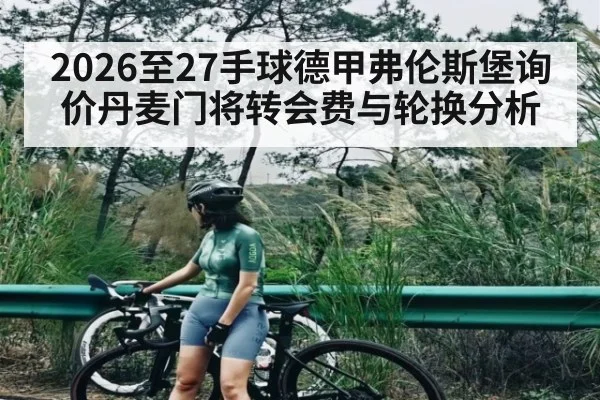 2026至27手球德甲弗伦斯堡询价丹麦门将转会费与轮换分析